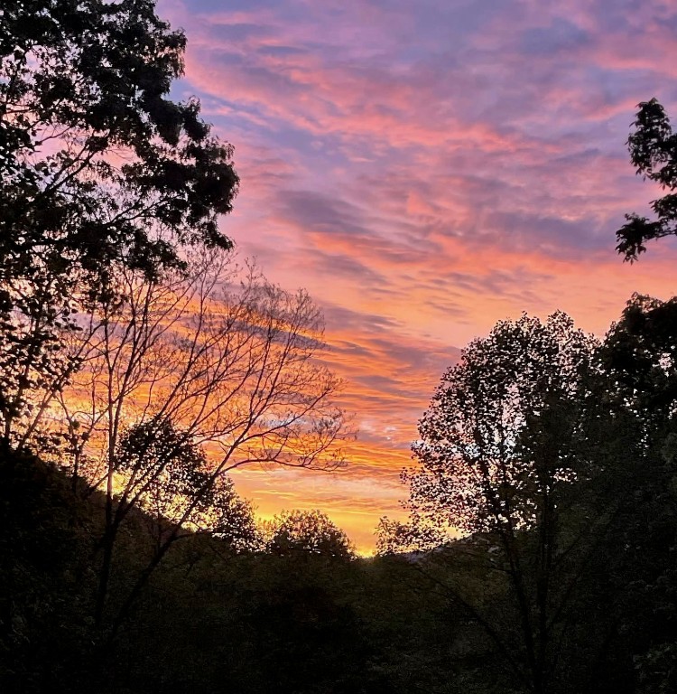 Cullowhee, North Carolina 28723, United States, 3 Bedrooms Bedrooms, ,4 BathroomsBathrooms,Residential,Active,111958