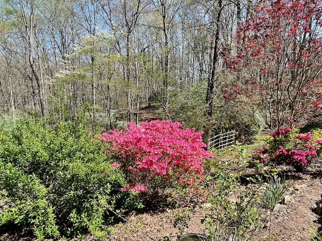 Cullowhee, North Carolina 28723, United States, 3 Bedrooms Bedrooms, ,4 BathroomsBathrooms,Residential,Active,111958