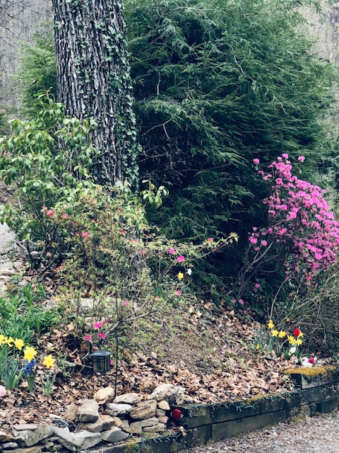 Cullowhee, North Carolina 28723, United States, 3 Bedrooms Bedrooms, ,4 BathroomsBathrooms,Residential,Active,111958