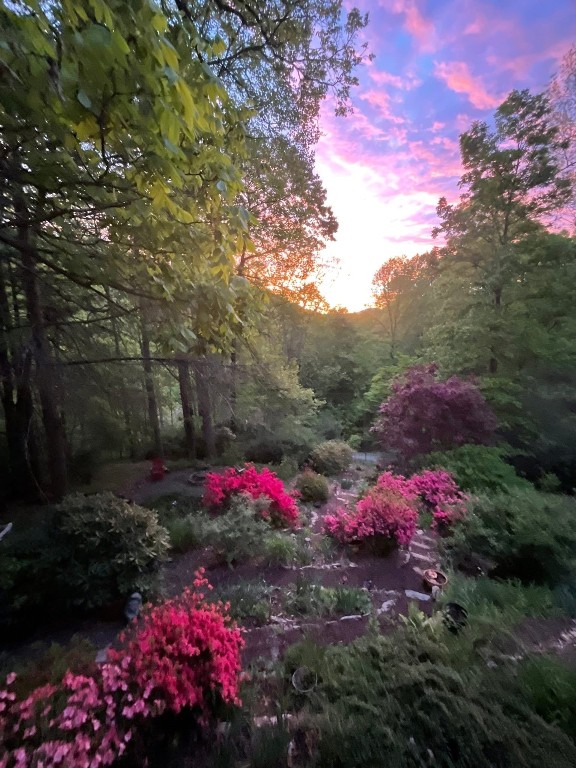 Cullowhee, North Carolina 28723, United States, 3 Bedrooms Bedrooms, ,4 BathroomsBathrooms,Residential,Active,111958