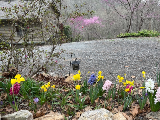 Cullowhee, North Carolina 28723, United States, 3 Bedrooms Bedrooms, ,4 BathroomsBathrooms,Residential,Active,111958