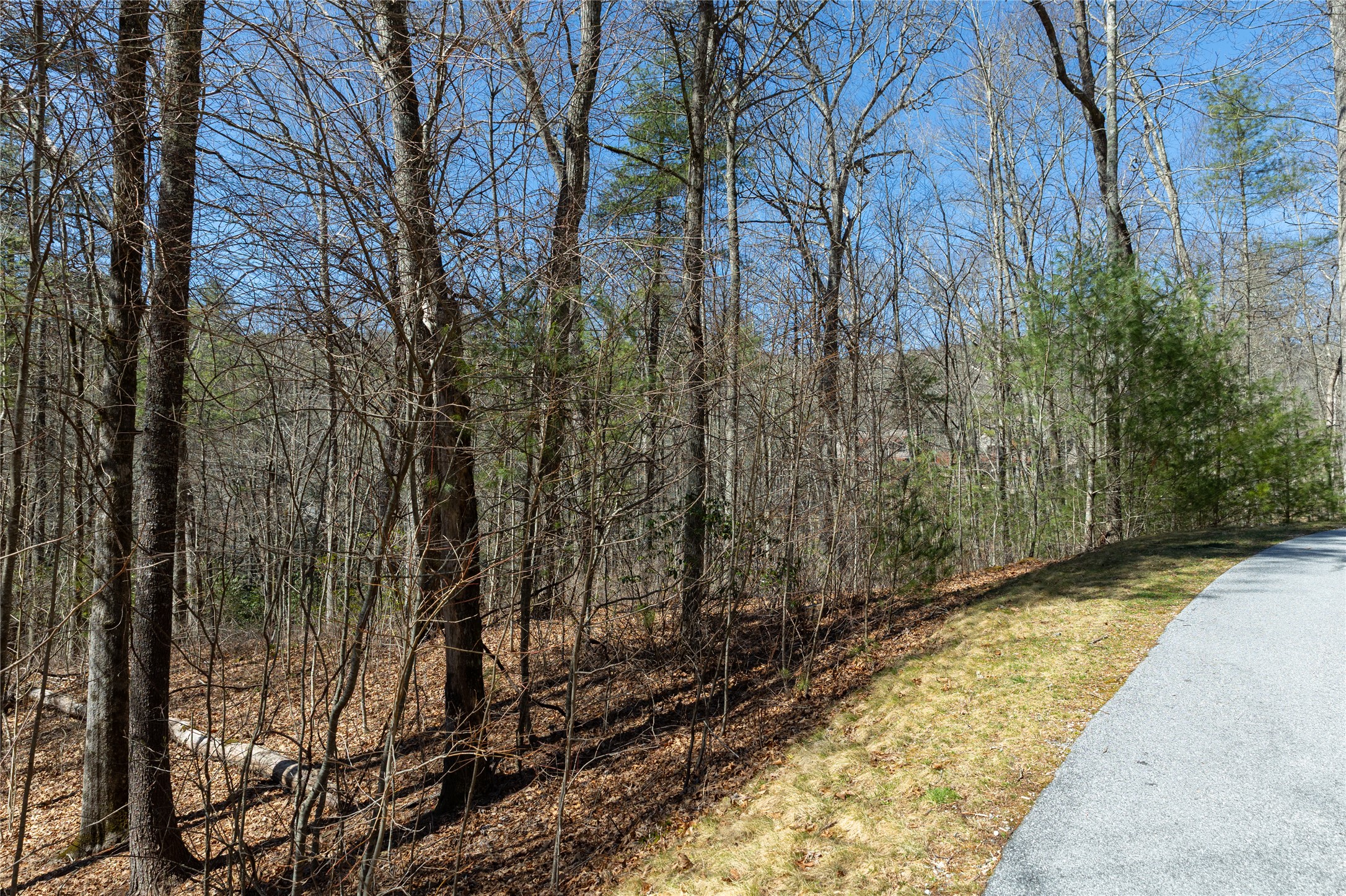 Lot 23 E Valley Drive