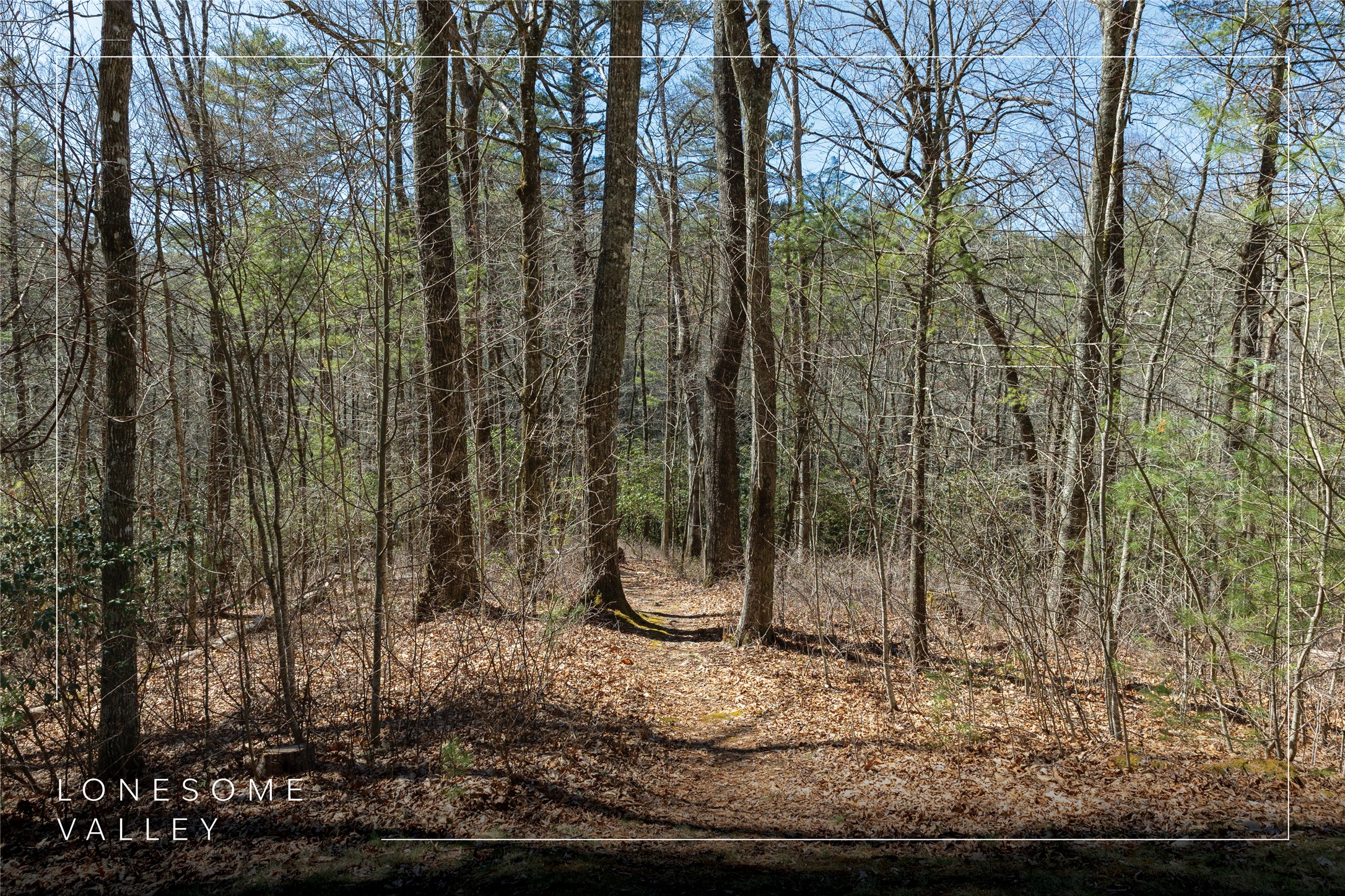 Lot 23 E Valley Drive