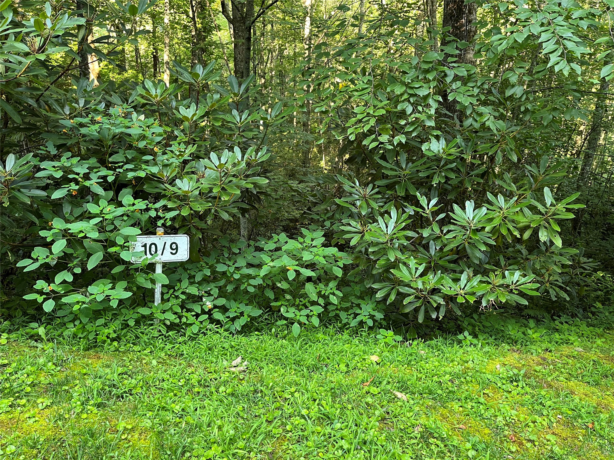 9 Old Forester Trail
