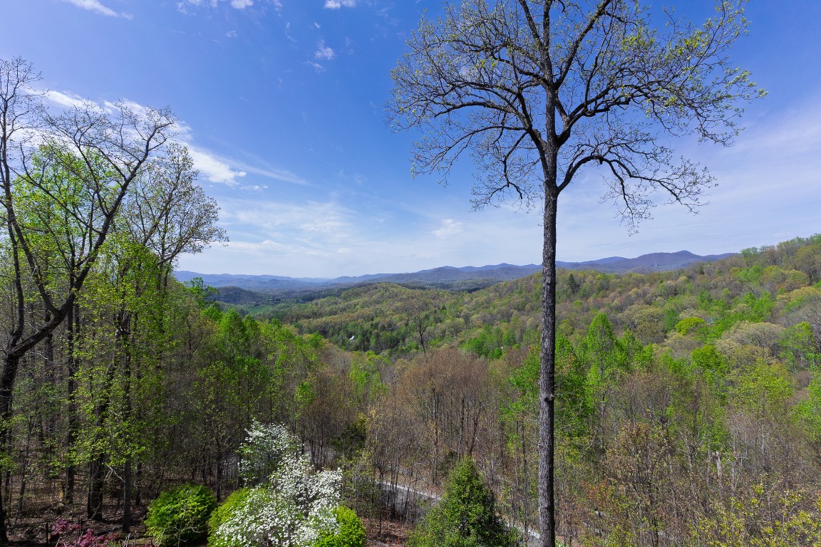 129 Skyline Park Drive