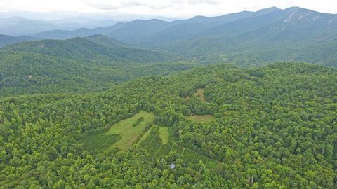 1575 Lloyd Cove Road Scaly Mountain NC 28775