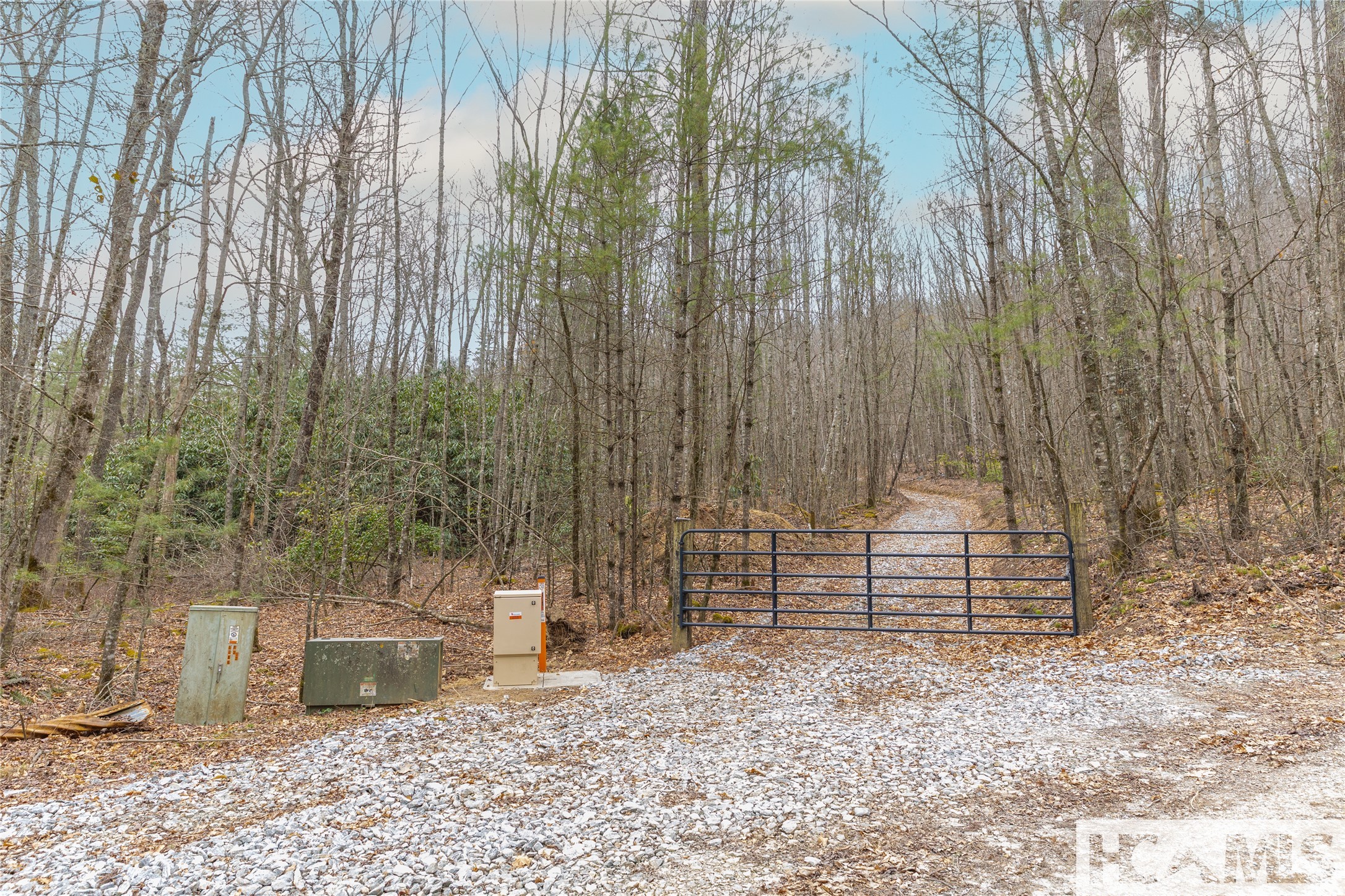 Tr A Fenley Forest Trail