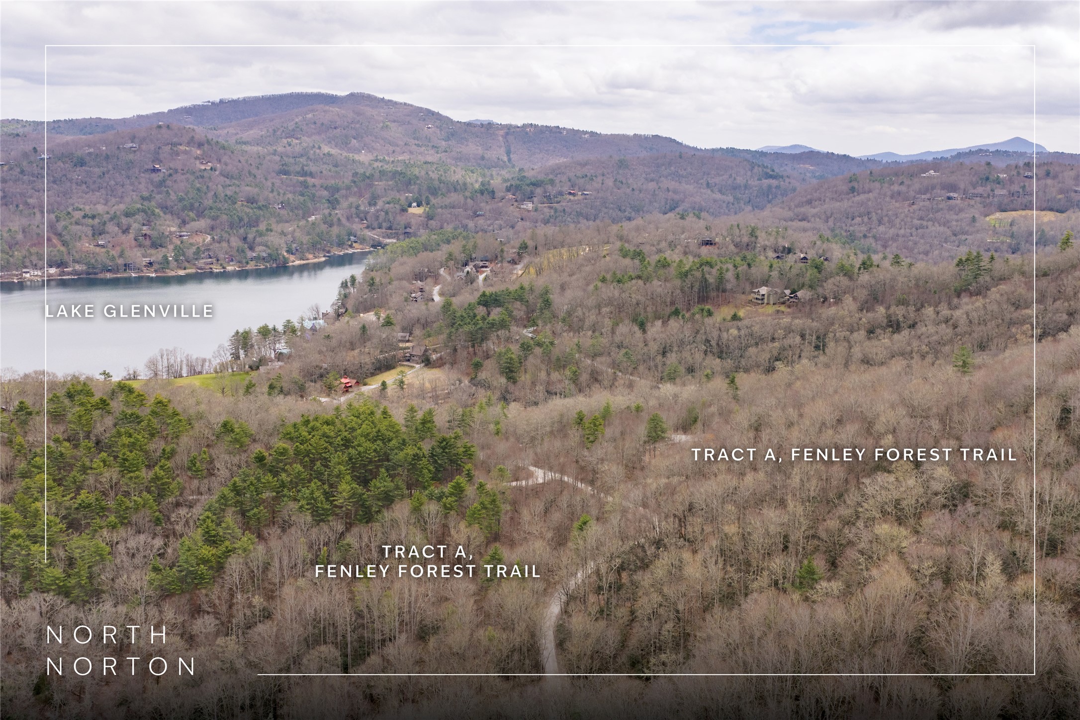 Tr A Fenley Forest Trail