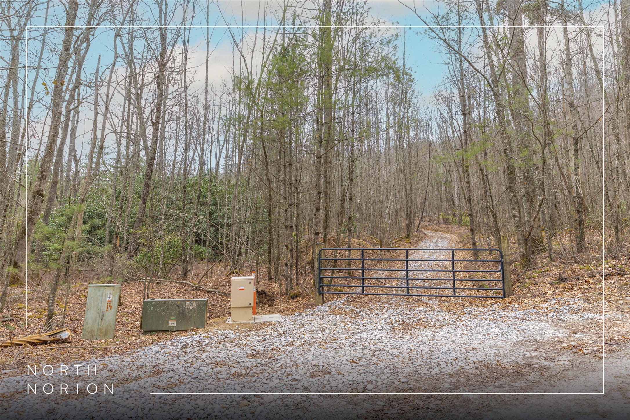 Tr A Fenley Forest Trail