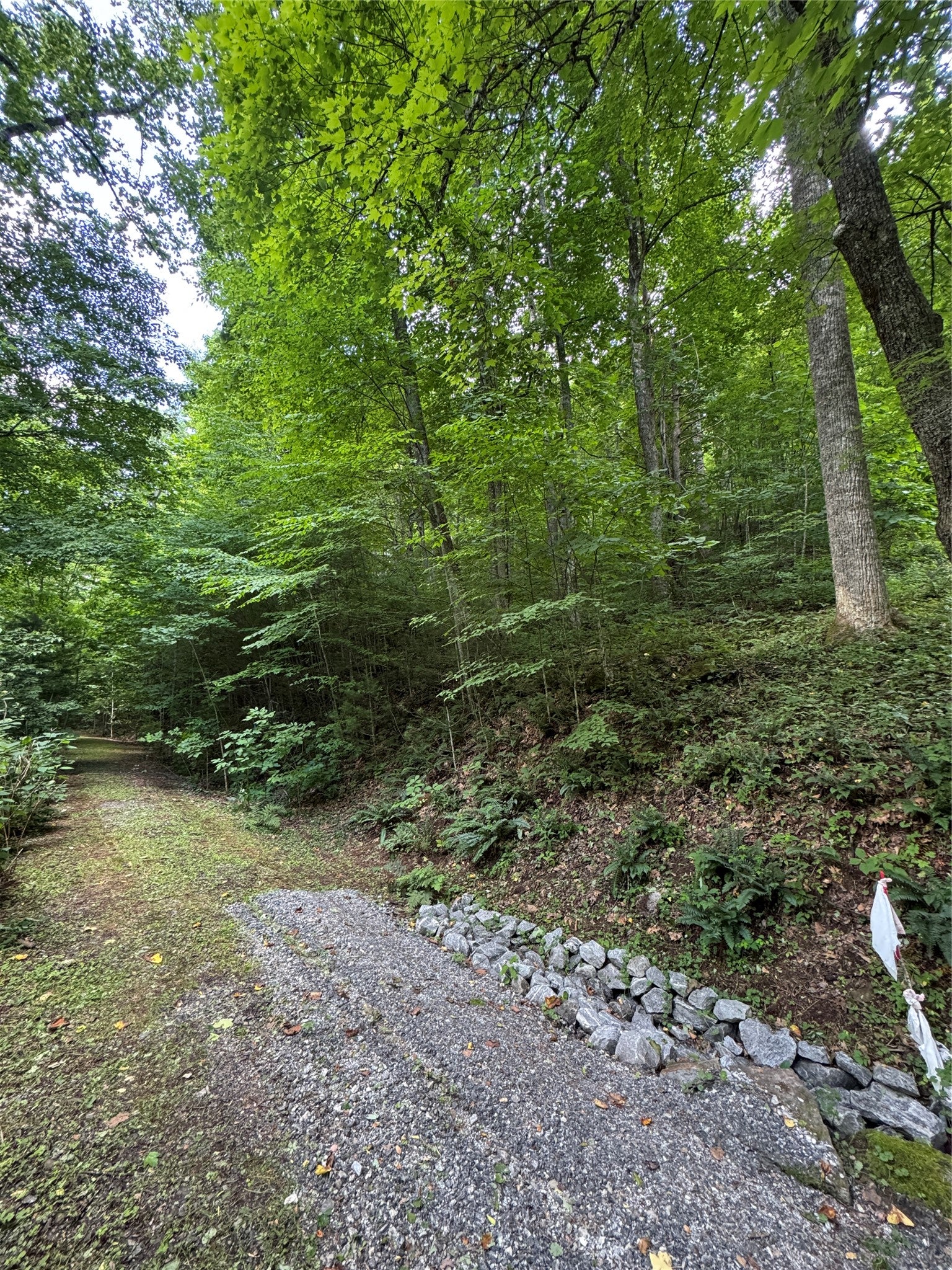 12 N Captiva Mountain Drive