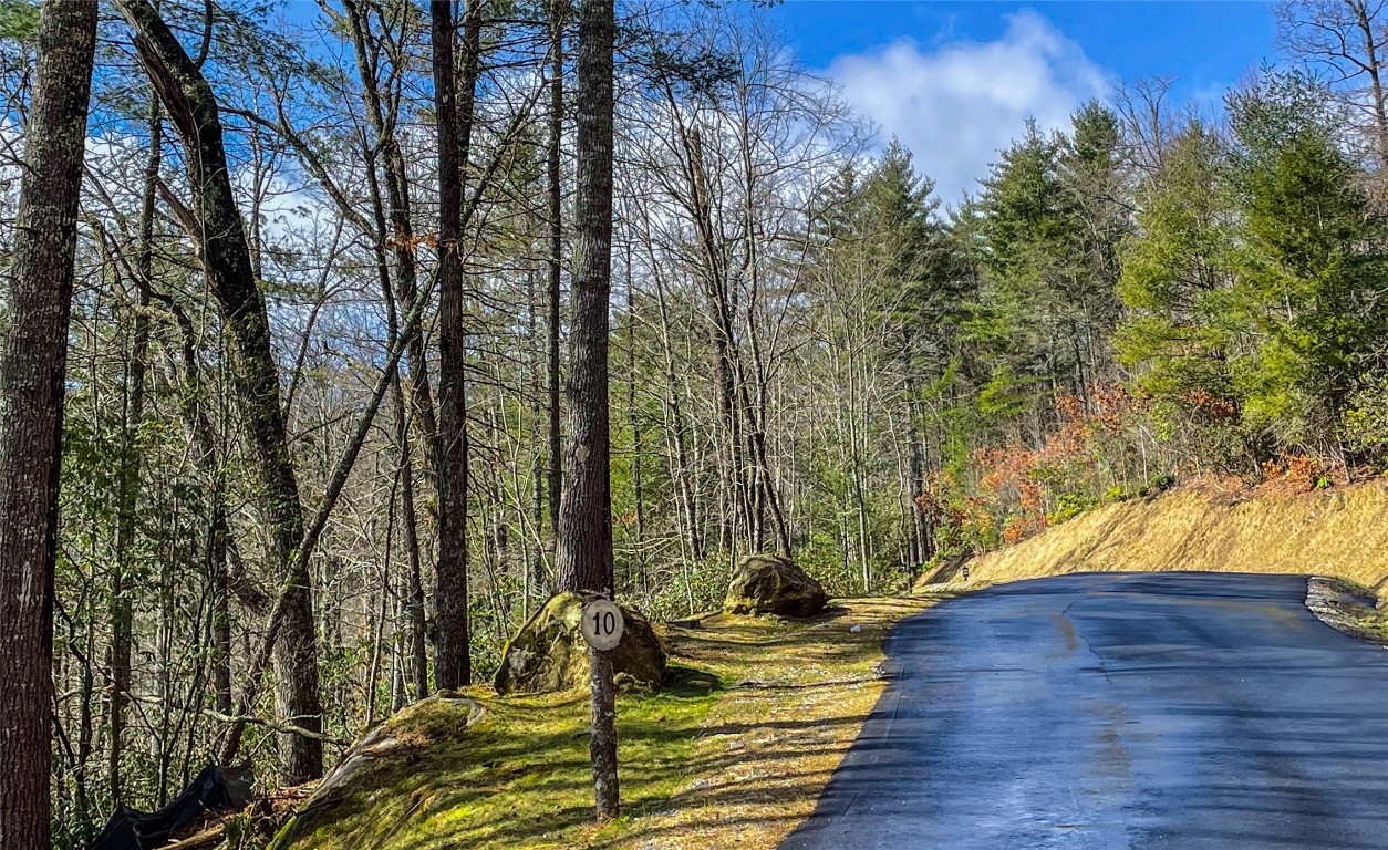 Cashiers, North Carolina 28717, United States, 4 Bedrooms Bedrooms, ,5 BathroomsBathrooms,Residential,Active,234489