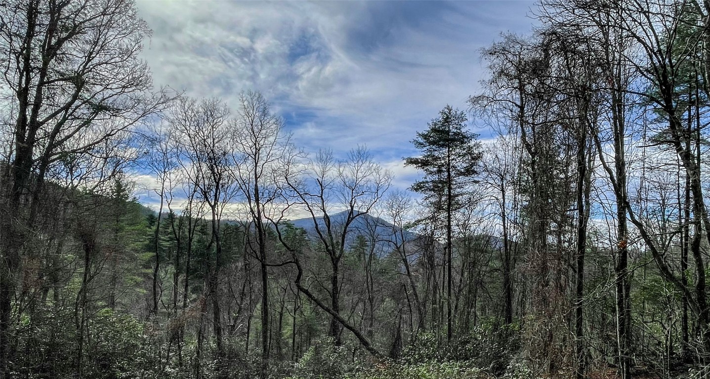 Cashiers, North Carolina 28717, United States, 4 Bedrooms Bedrooms, ,5 BathroomsBathrooms,Residential,Active,234489