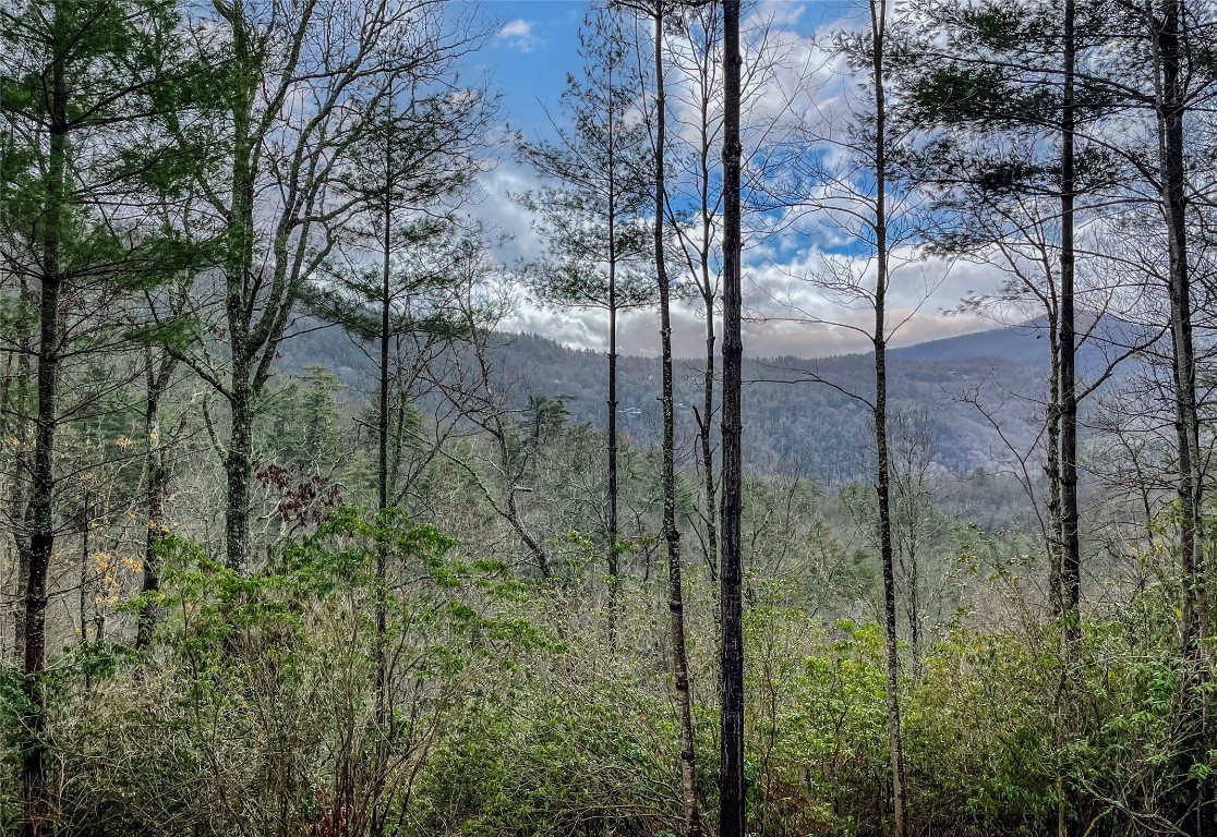 Cashiers, North Carolina 28717, United States, 4 Bedrooms Bedrooms, ,5 BathroomsBathrooms,Residential,Active,234489