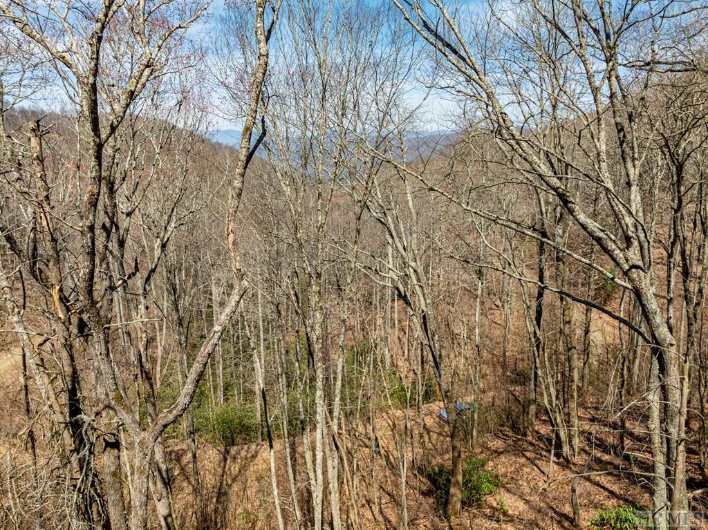 Cullowhee, North Carolina 28723, United States, ,Land,Active,128949