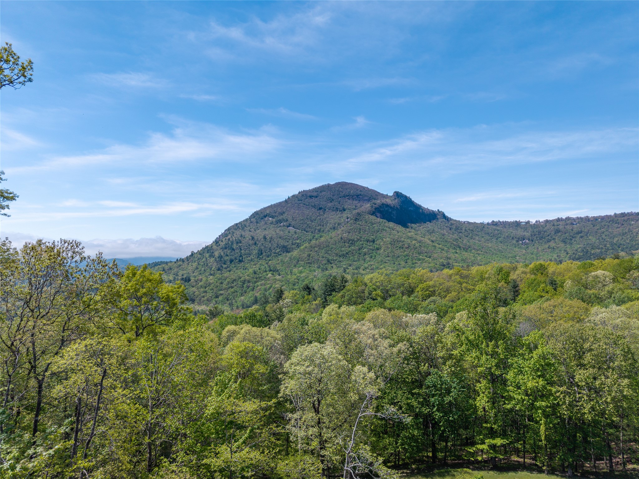 54 Forestland Road