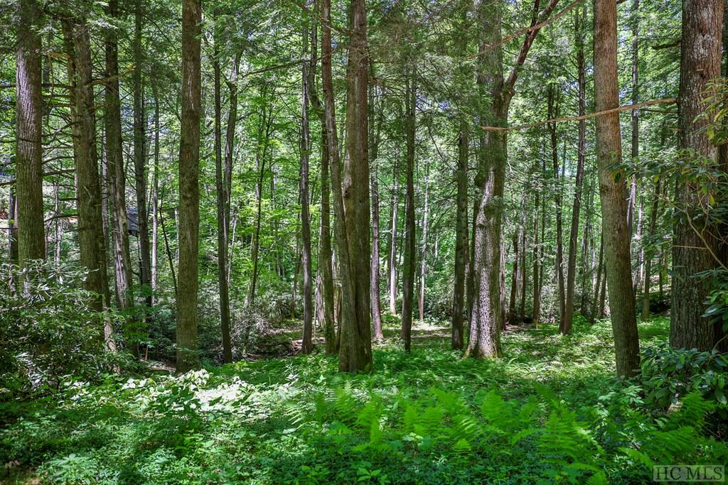 Highlands, North Carolina 28741, United States, ,Land,Active,54829