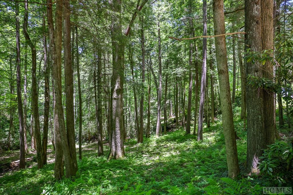 Highlands, North Carolina 28741, United States, ,Land,Active,54829