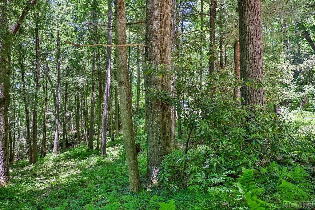 Highlands, North Carolina 28741, United States, ,Land,Active,54829