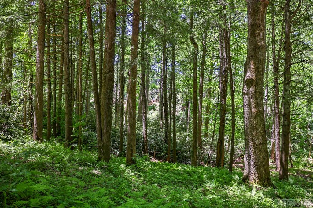 Highlands, North Carolina 28741, United States, ,Land,Active,54829