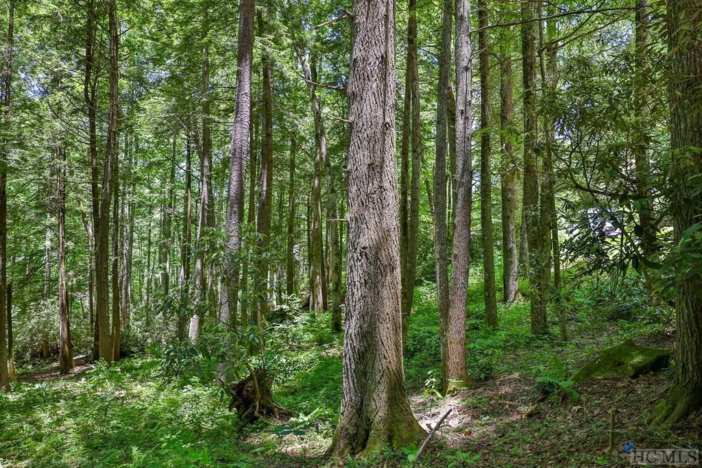 Highlands, North Carolina 28741, United States, ,Land,Active,54829