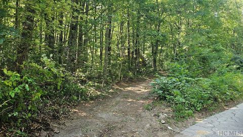 811 Eastside Duck Mountain Road Scaly Mountain NC 28775