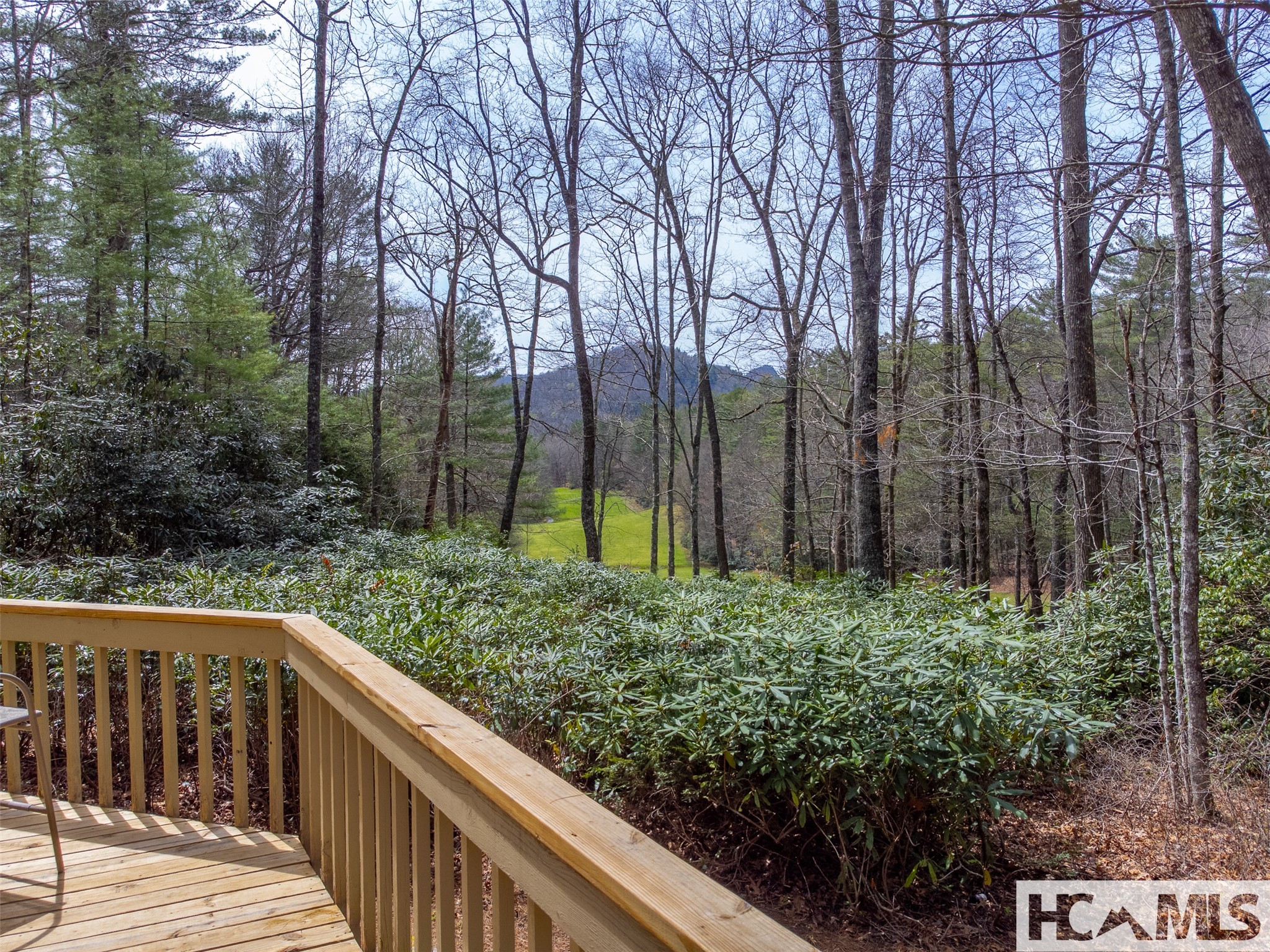 120 Holly Forest Court