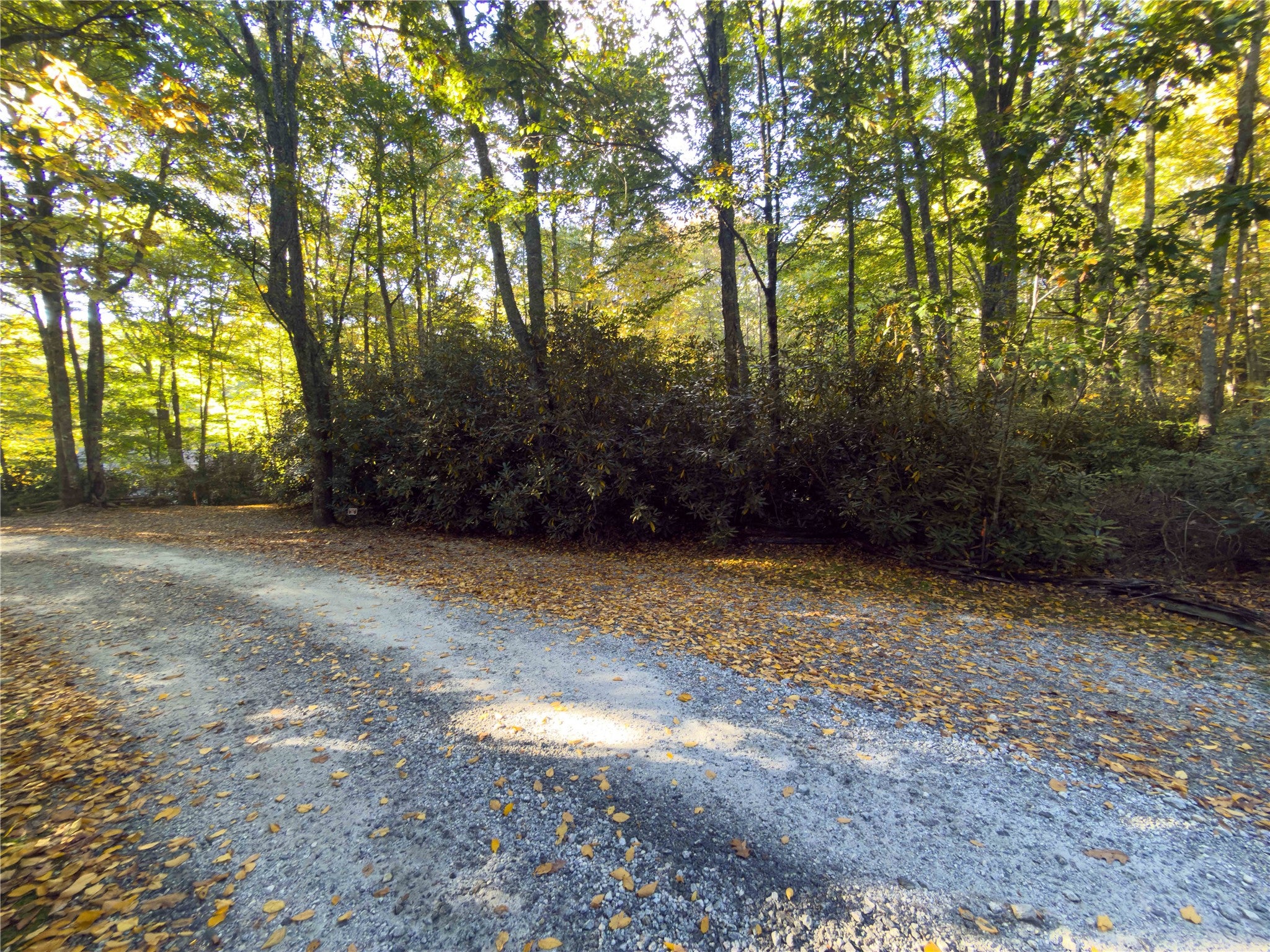 24 Highland Bog Court