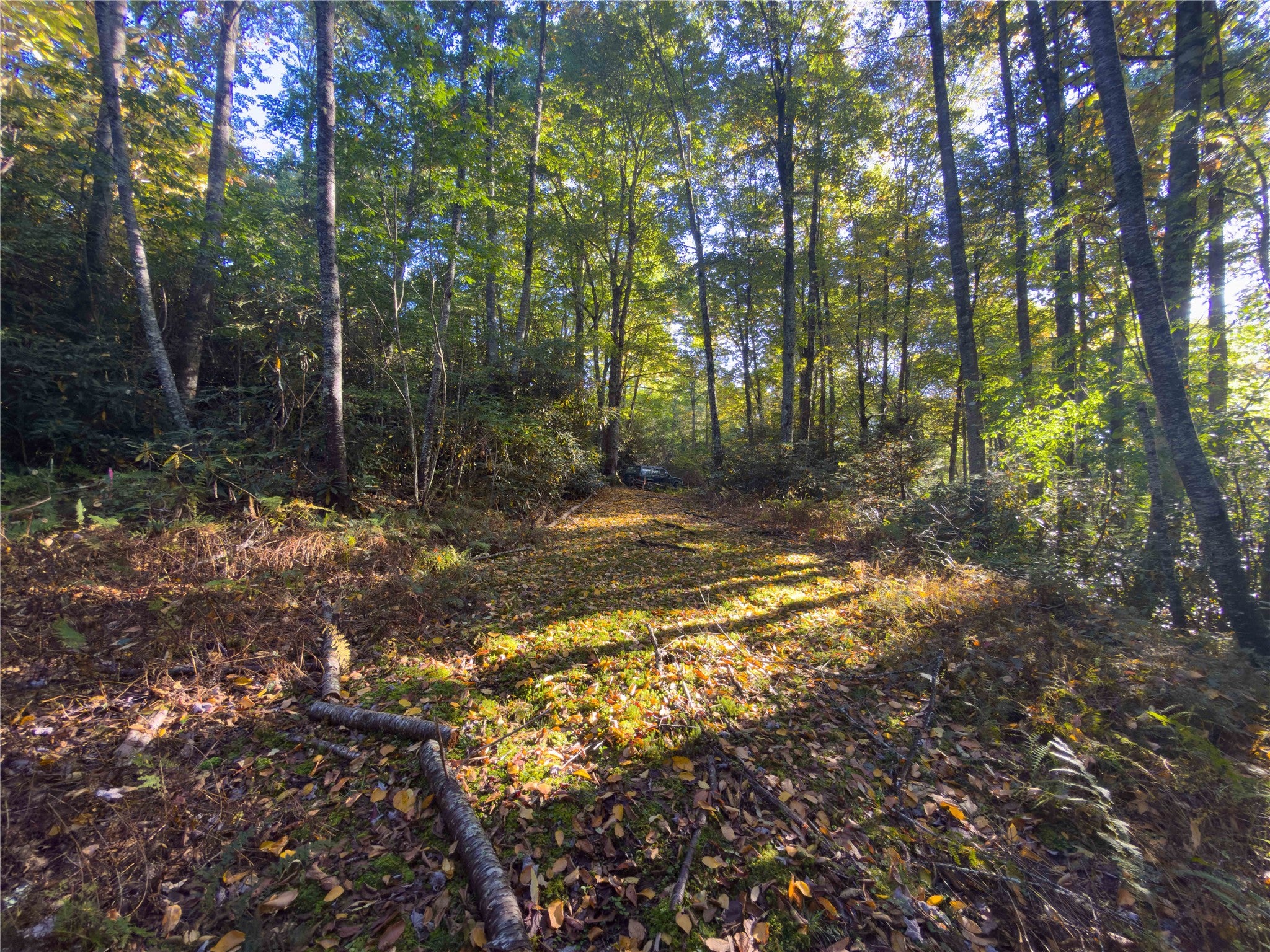 24 Highland Bog Court