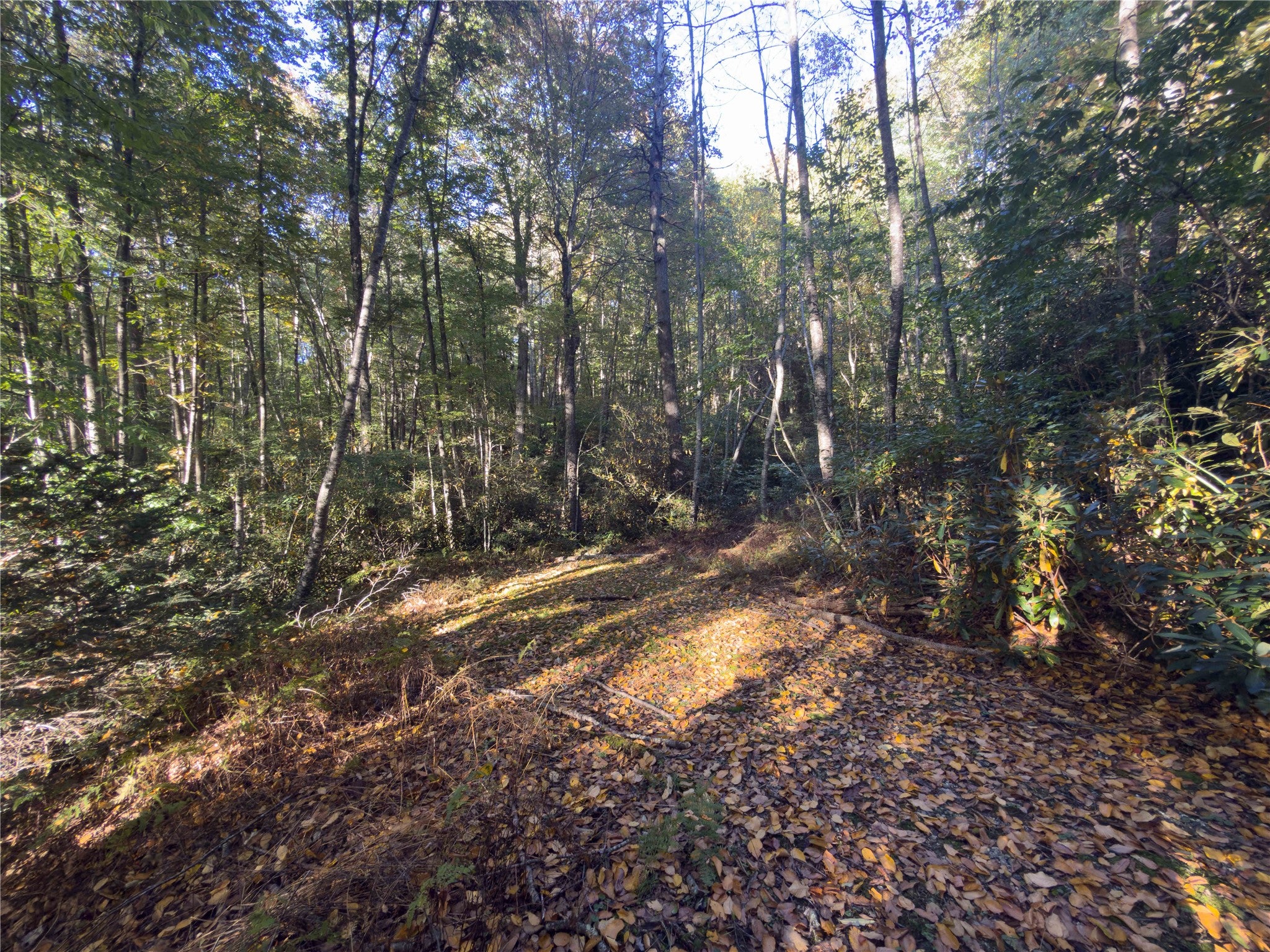 24 Highland Bog Court