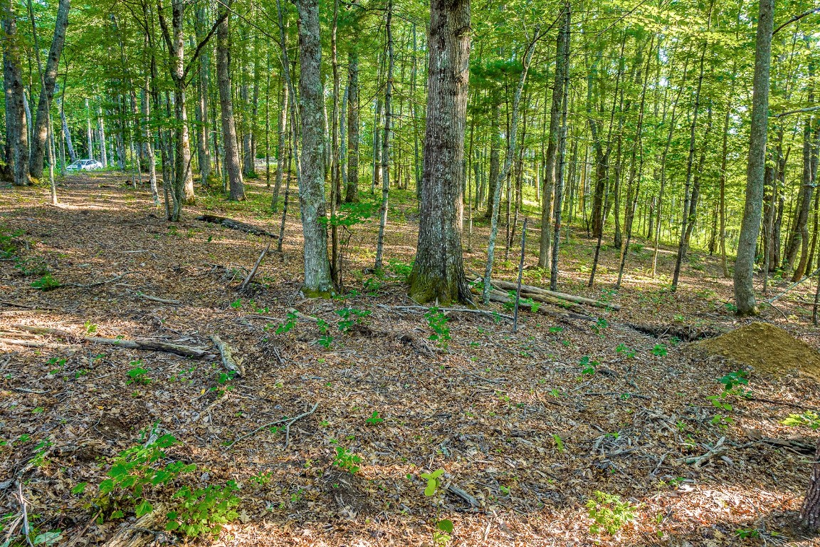 8 S Ridgeline Road