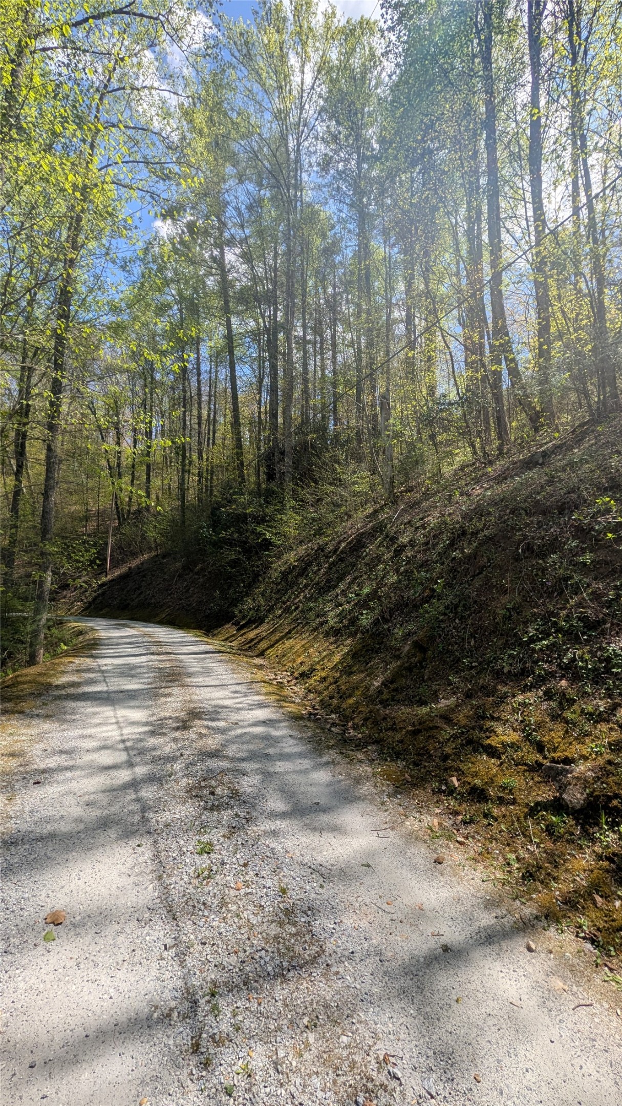 11 Captiva Mountain Drive