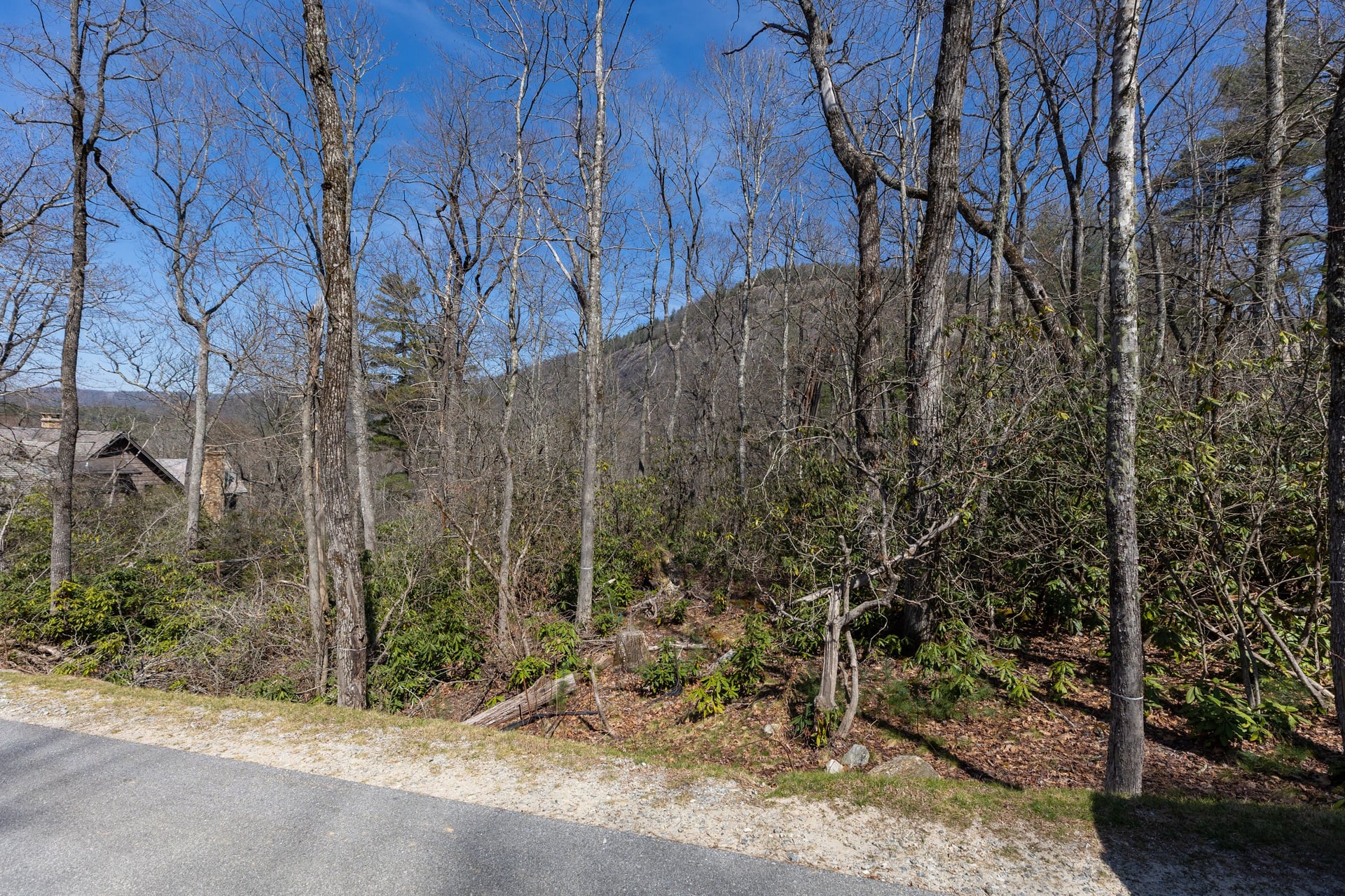 54 Ramble Ridge Road