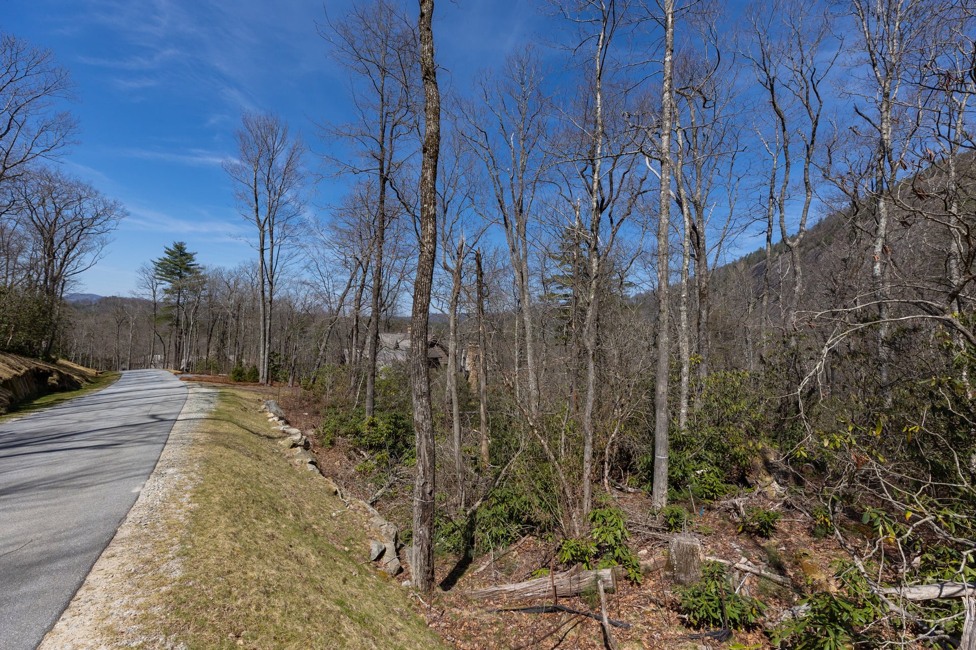 54 Ramble Ridge Road