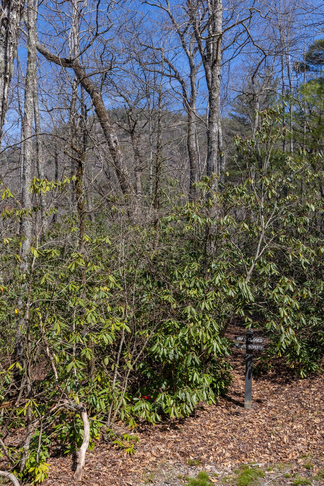 54 Ramble Ridge Road