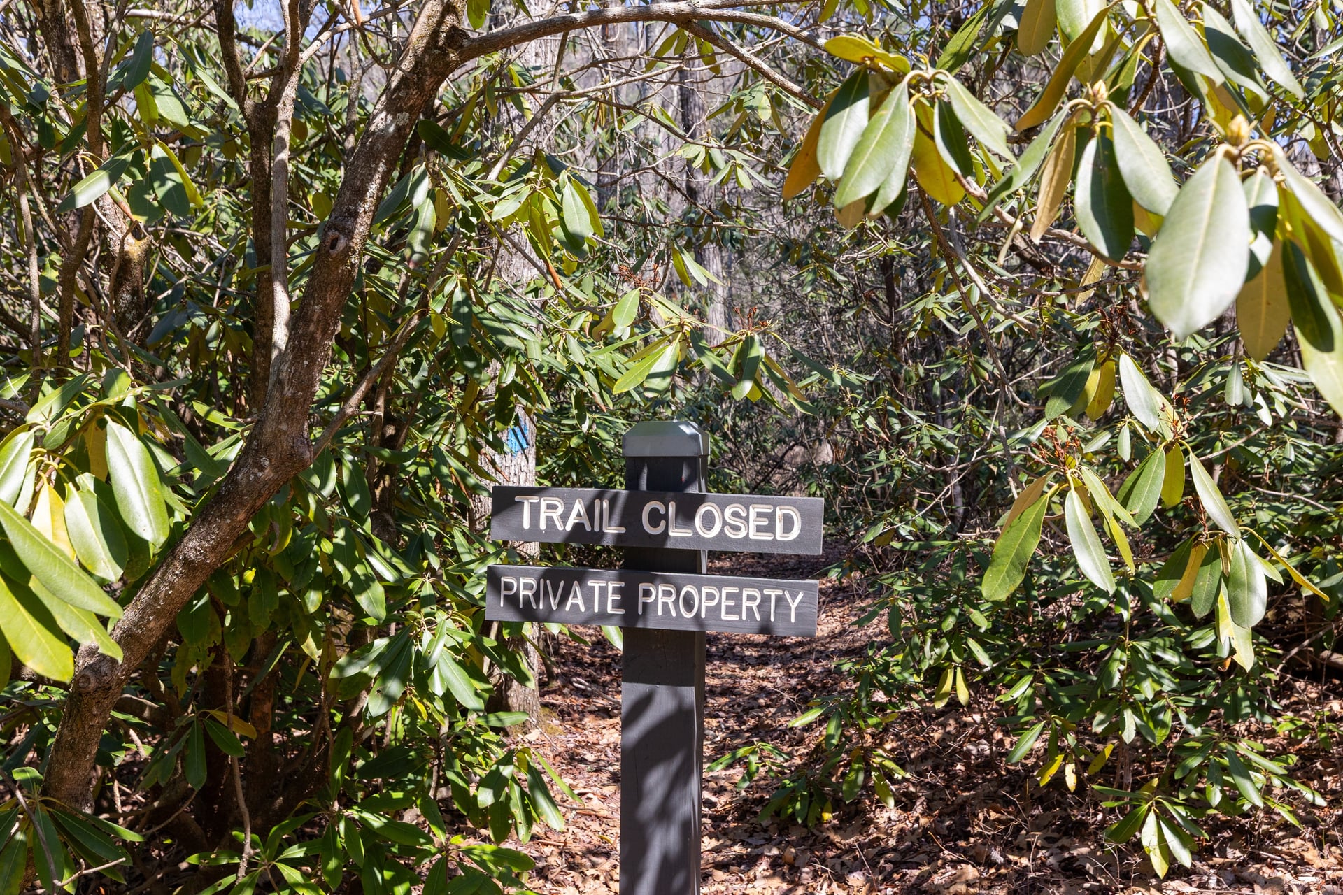 54 Ramble Ridge Road