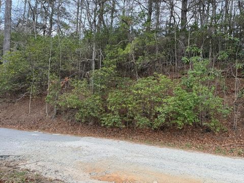 TBD Shoal Creek Road Scaly Mountain NC 28775