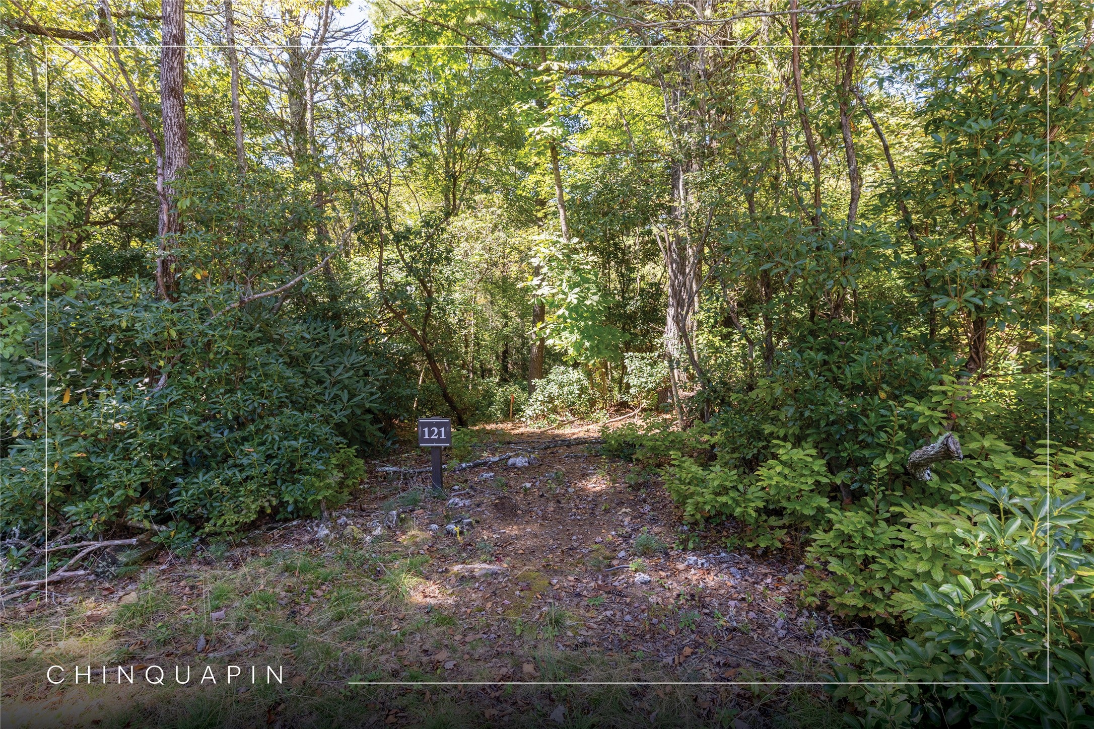 121 Rippling Waters Trail