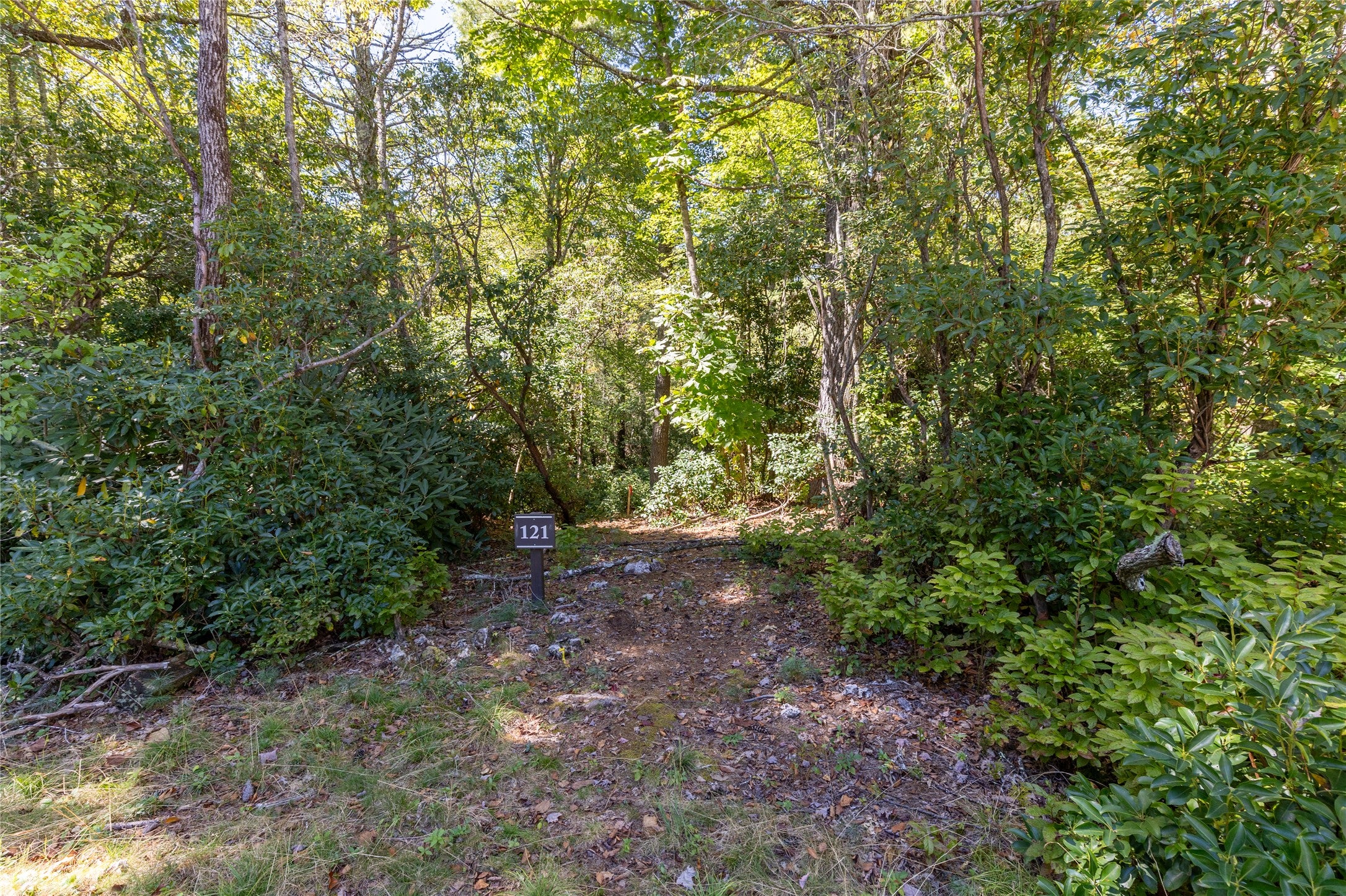 121 Rippling Waters Trail