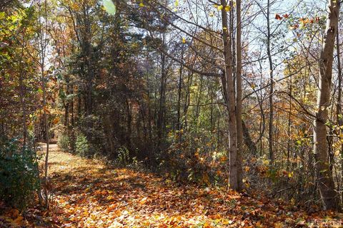 unknown Silly Ridge Road Scaly Mountain NC 28775