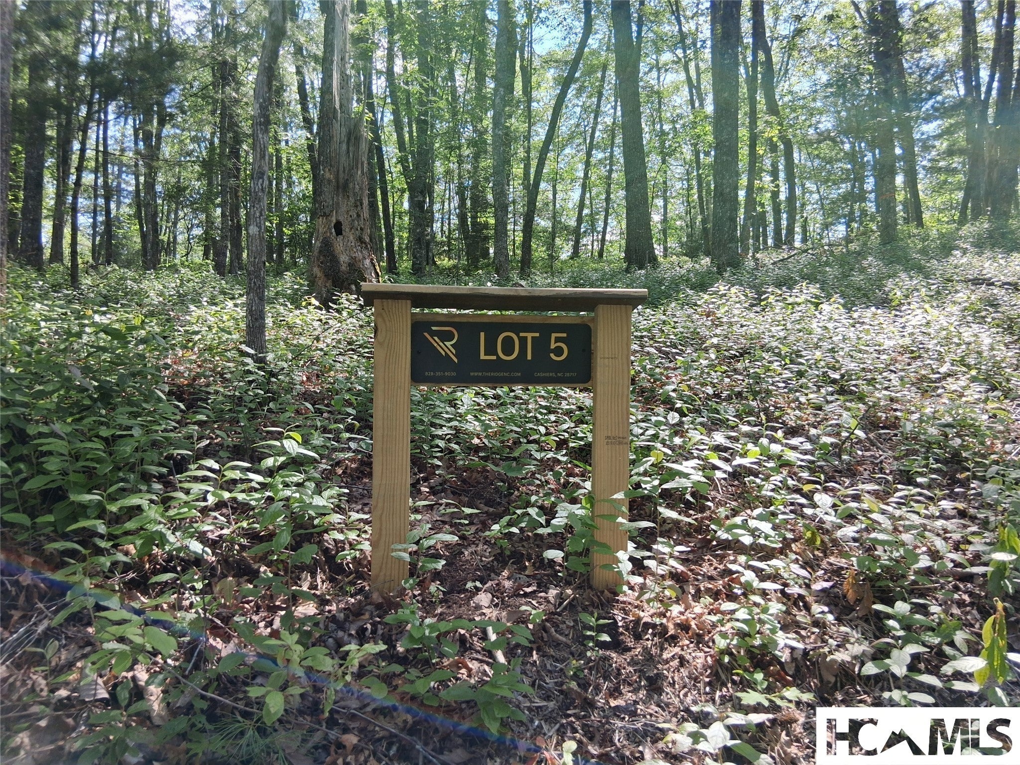 5 Lone Panther Ridge