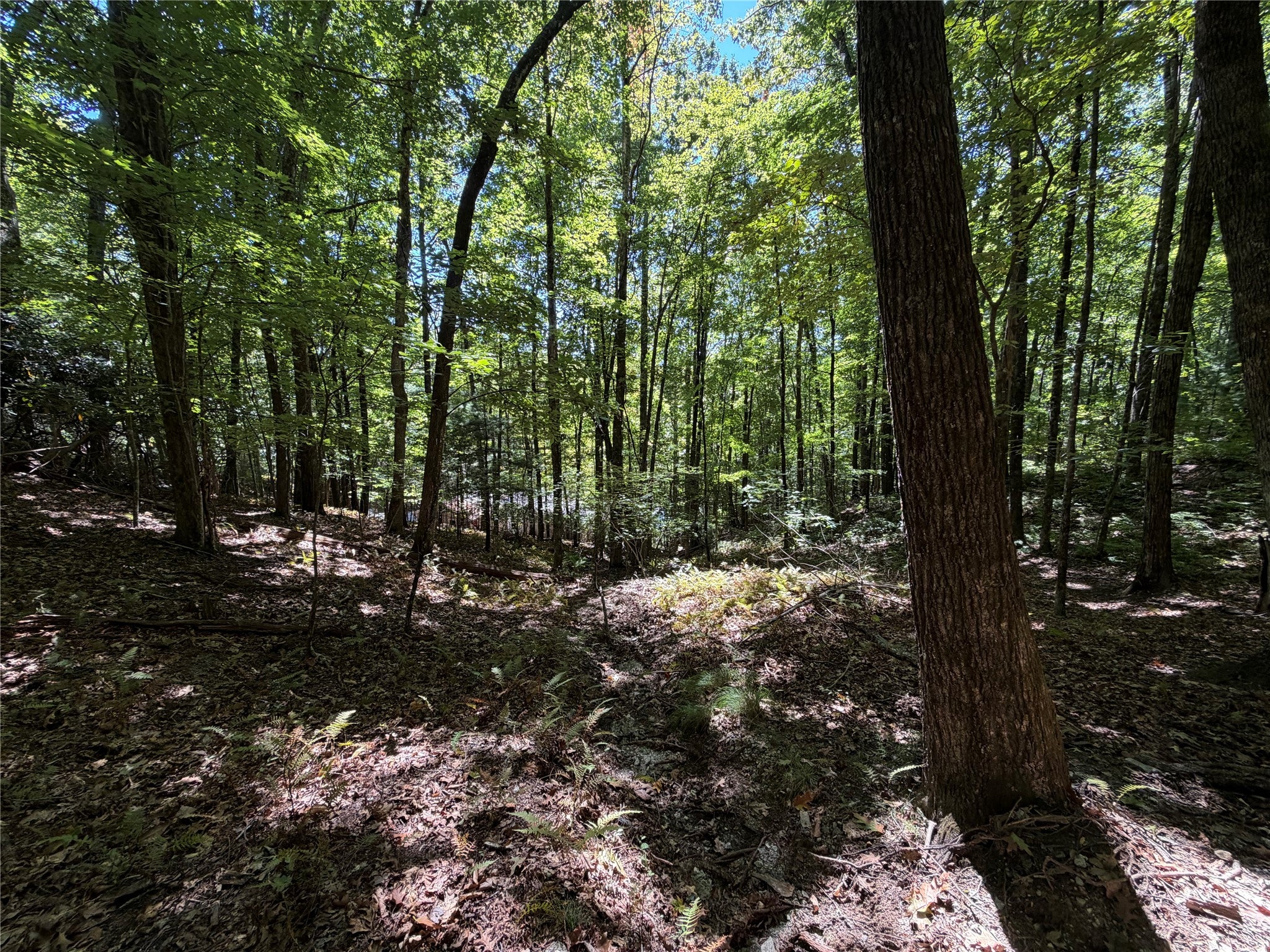 Lot 61 Buckberry Drive
