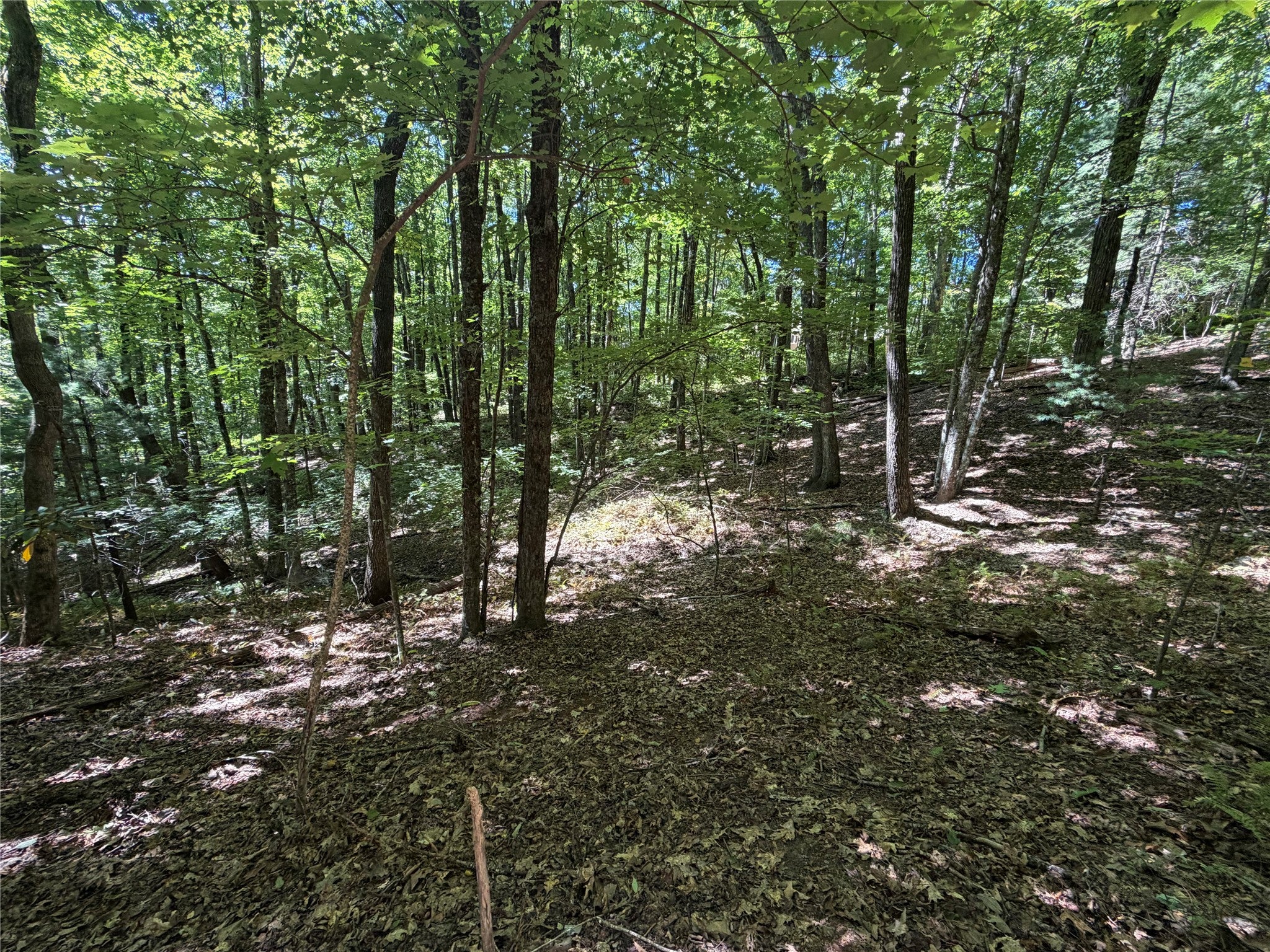 Lot 61 Buckberry Drive