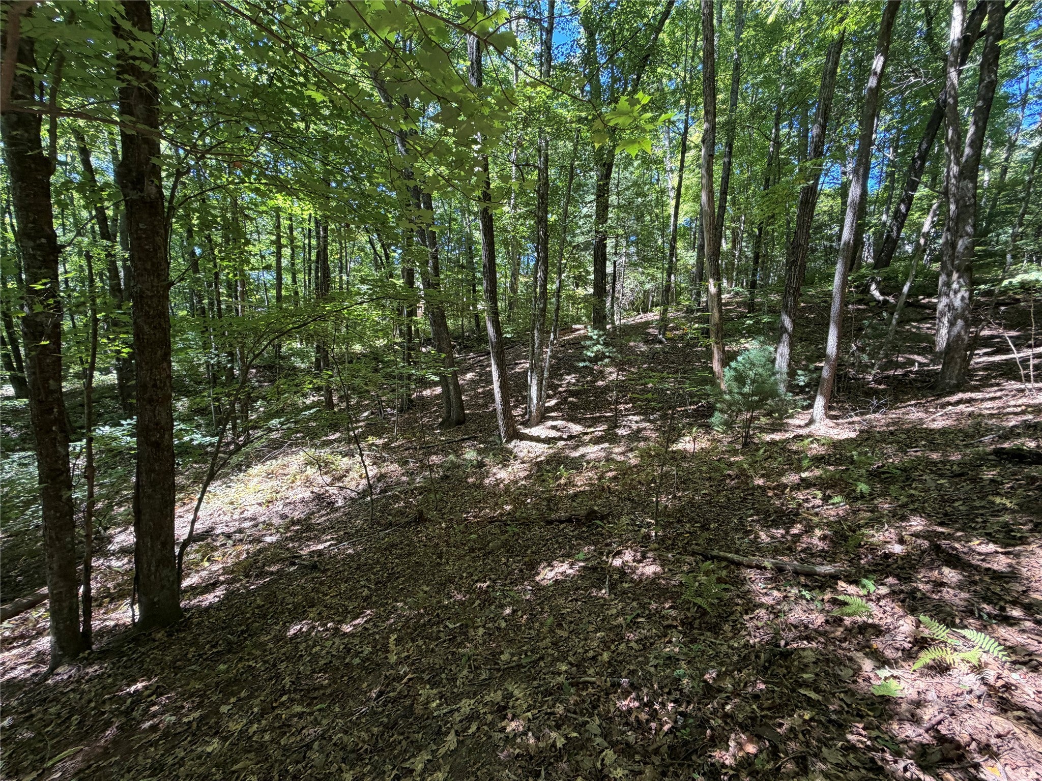 Lot 61 Buckberry Drive