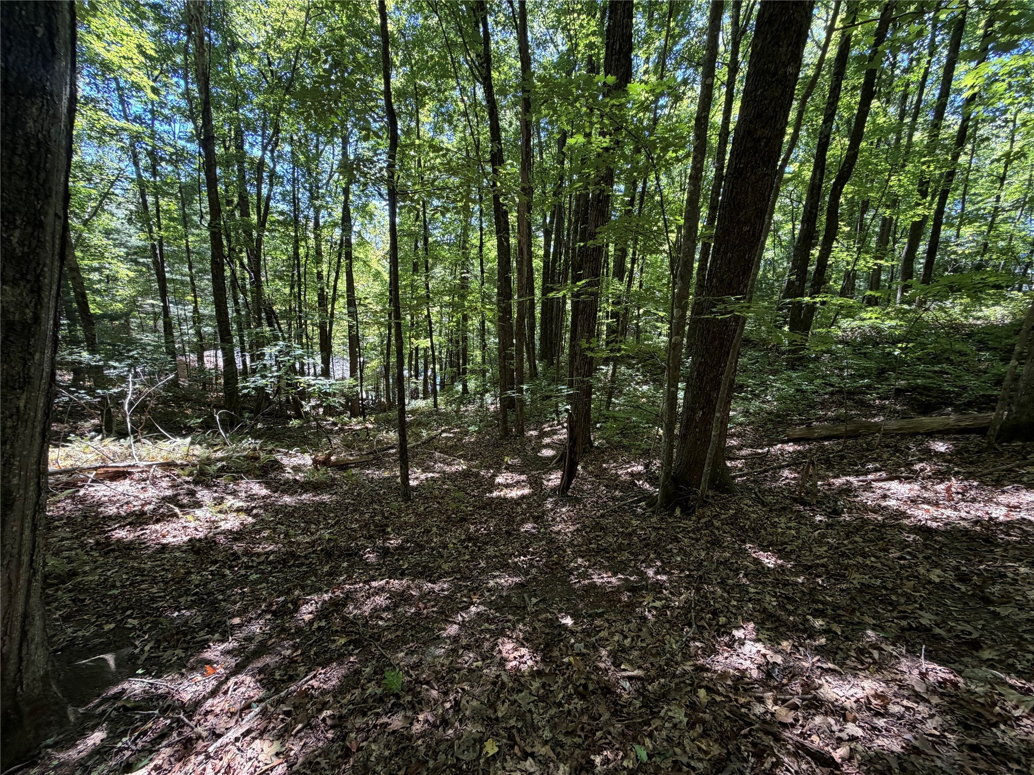 Lot 61 Buckberry Drive