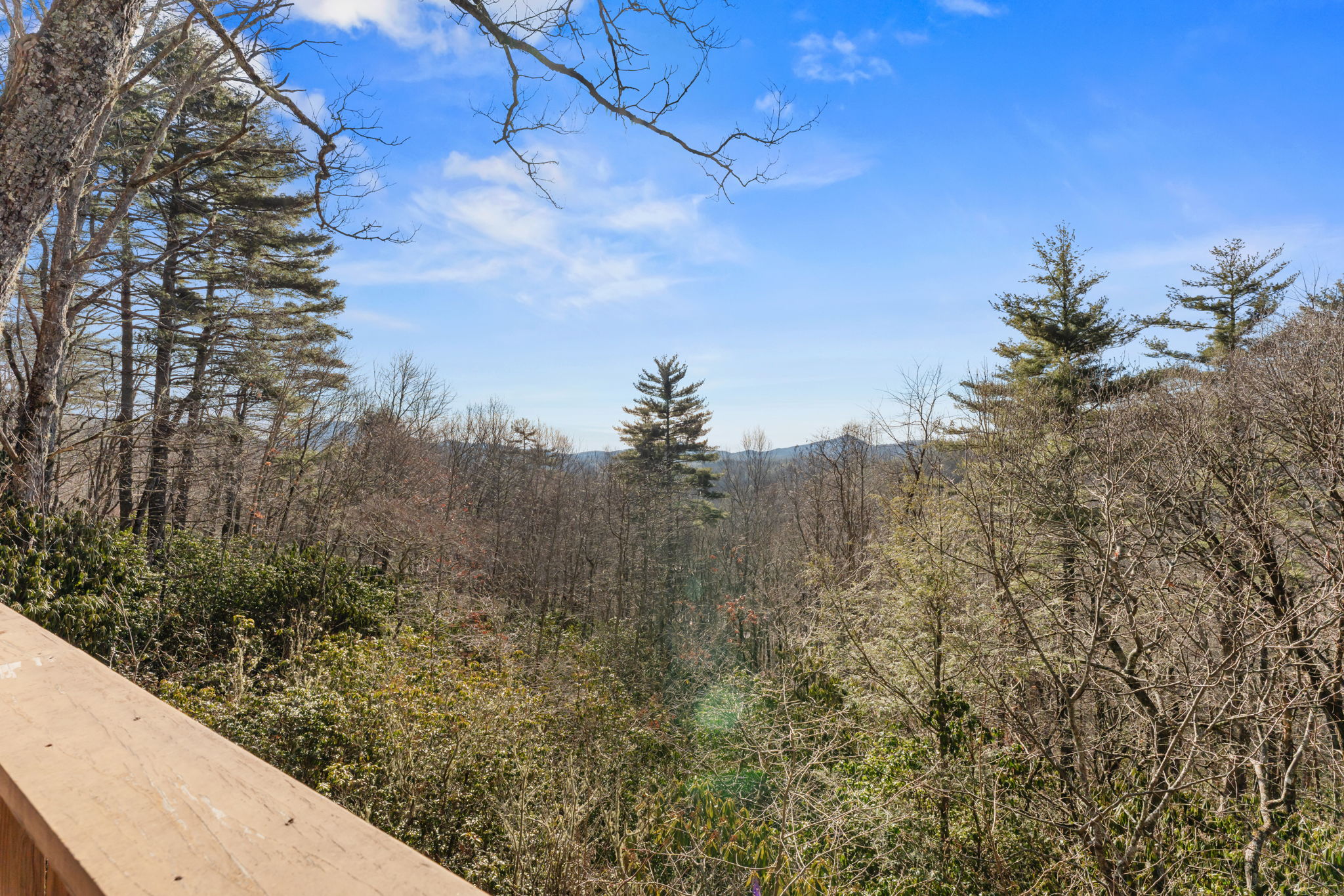 290 Blue Ridge Lane
