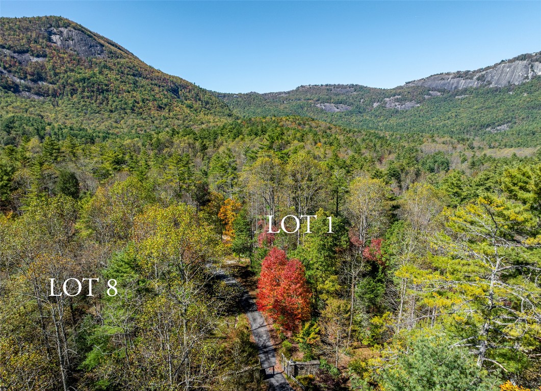 Highlands, North Carolina 28741, United States, 2 Bedrooms Bedrooms, ,2 BathroomsBathrooms,Residential,Active,150454