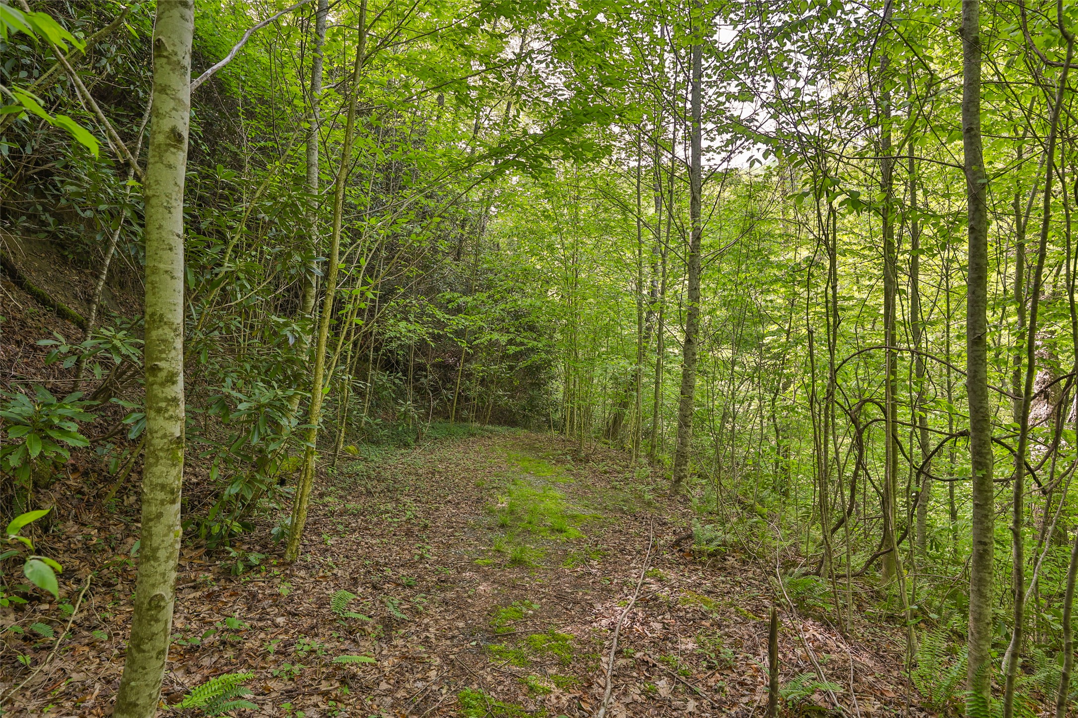G110 Trimble Ridge
