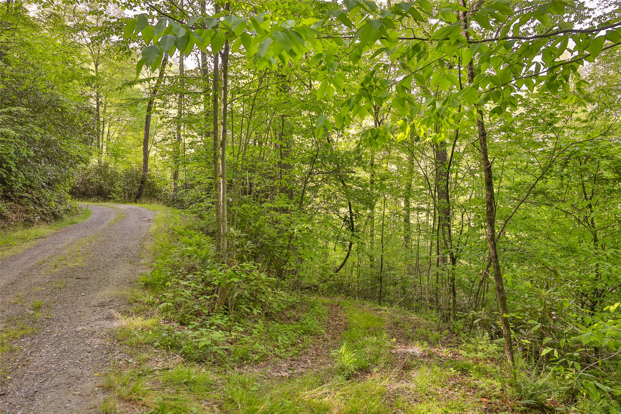 G110 Trimble Ridge