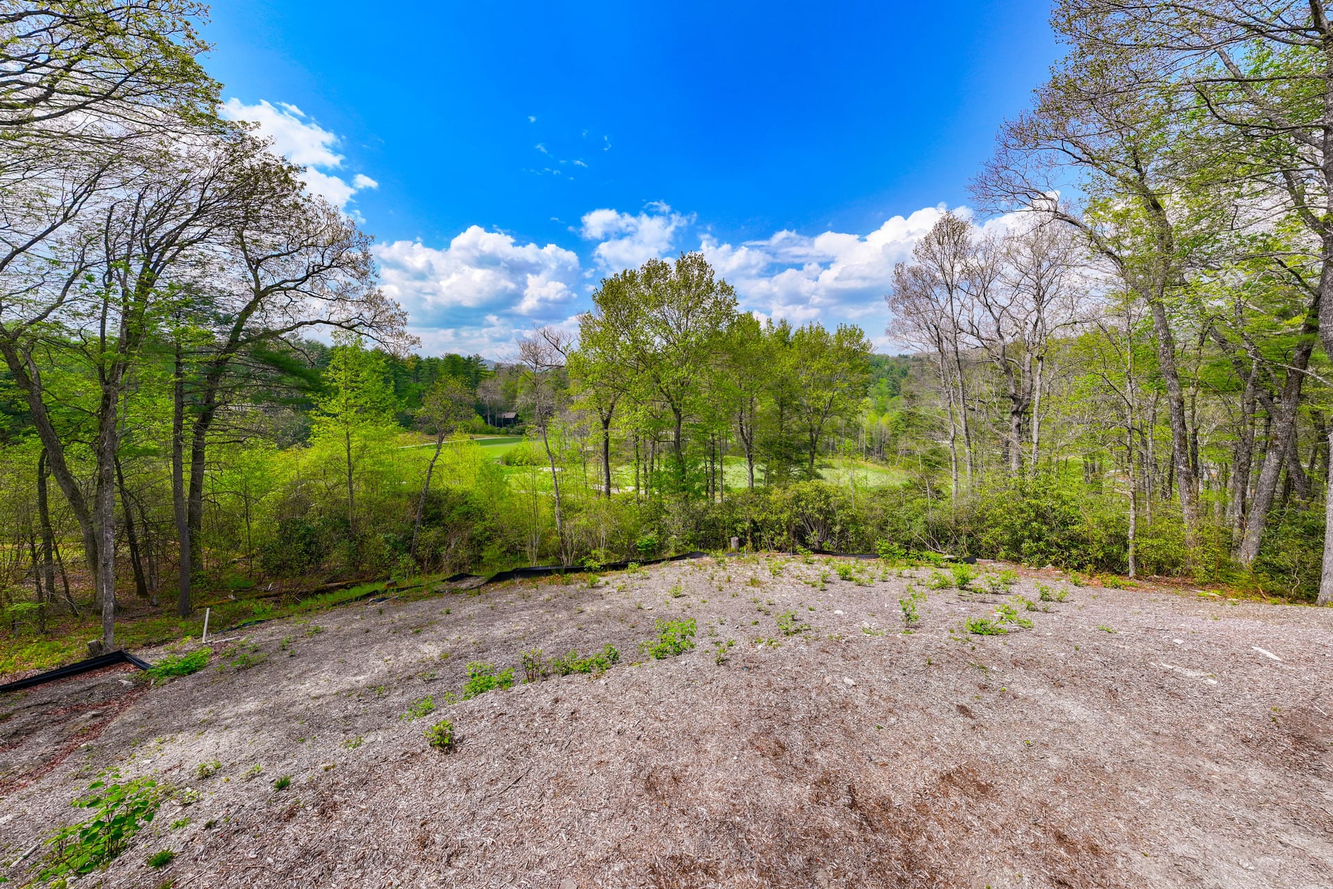 376 Heaton Forest