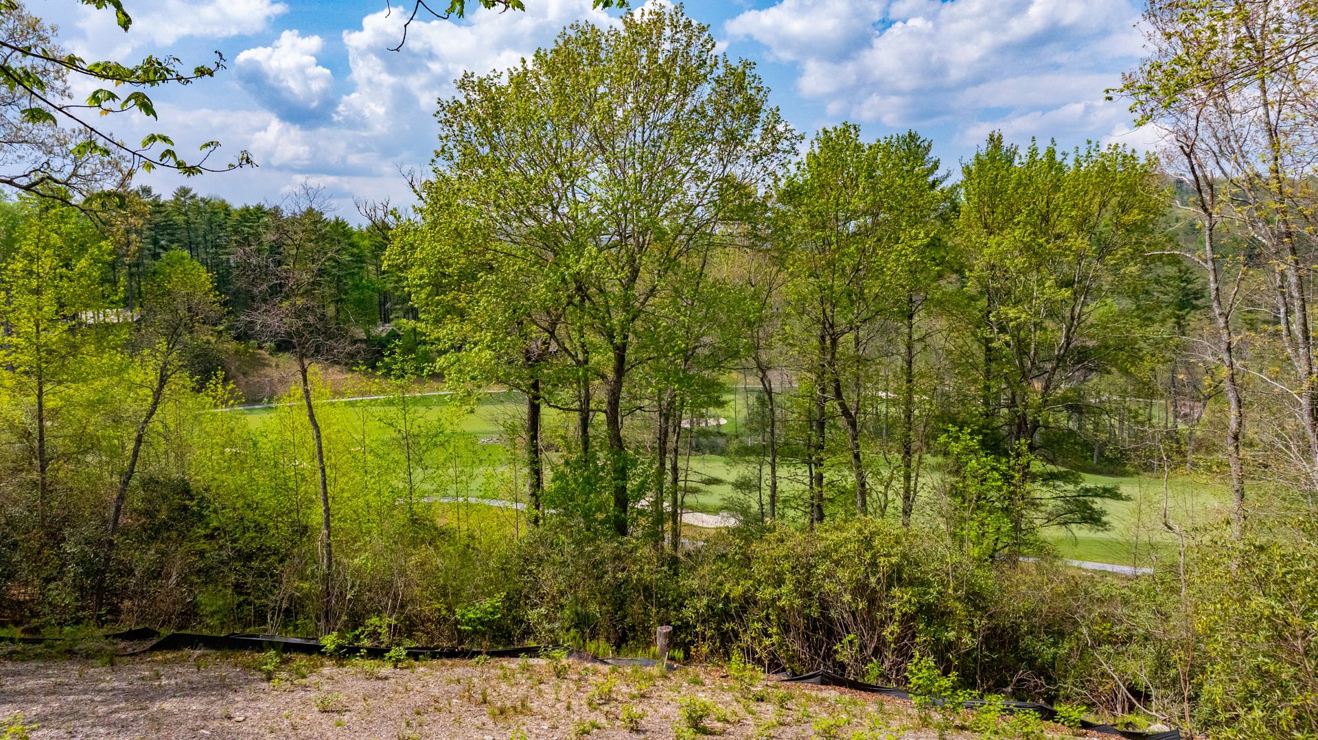 376 Heaton Forest